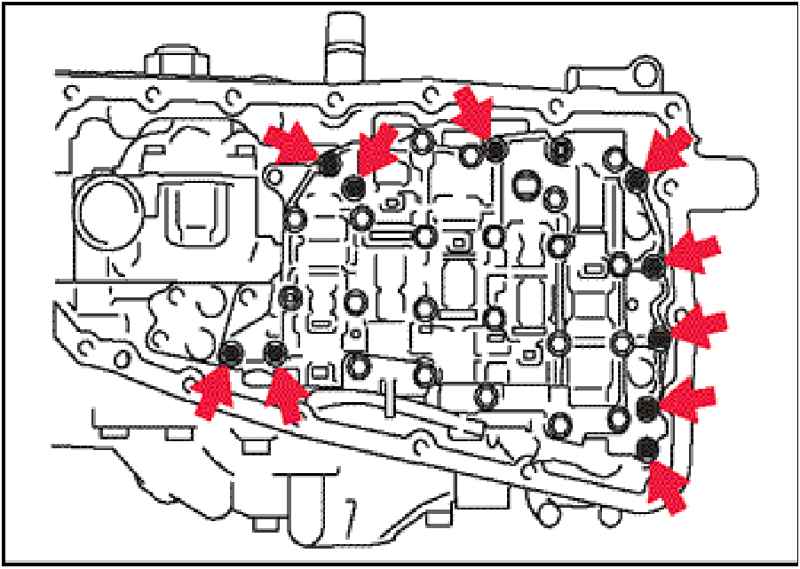 520065657_graphic-text282